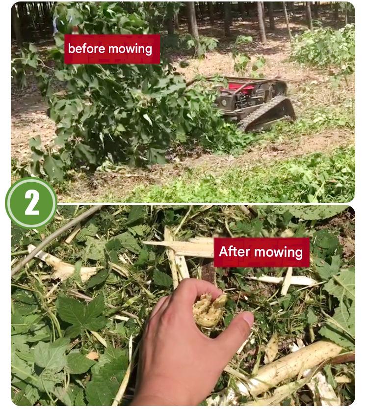 O1CN01FXIWiv1Vu9DVIdftD_!!2220570552711-0-cib